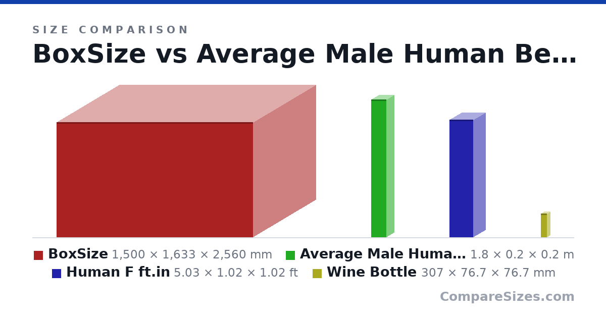 Size comparison of BoxSize (1,500 × 1,633 × 2,560 mm), Average Male Human Being (1.8 × 0.2 × 0.2 m), Human F ft.in (5.03 × 1.02 × 1.02 ft) and Wine Bottle (307 × 76.7 × 76.7 mm), drawn to scale