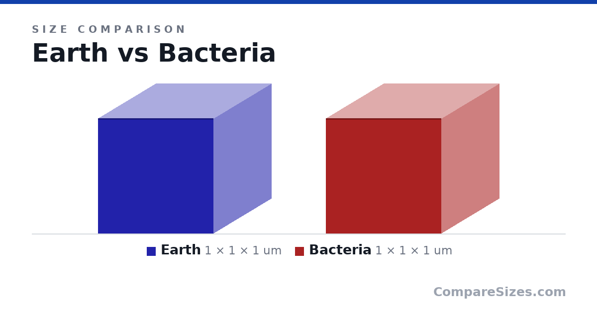 Size comparison of Earth (1 × 1 × 1 um) and Bacteria (1 × 1 × 1 um), drawn to scale
