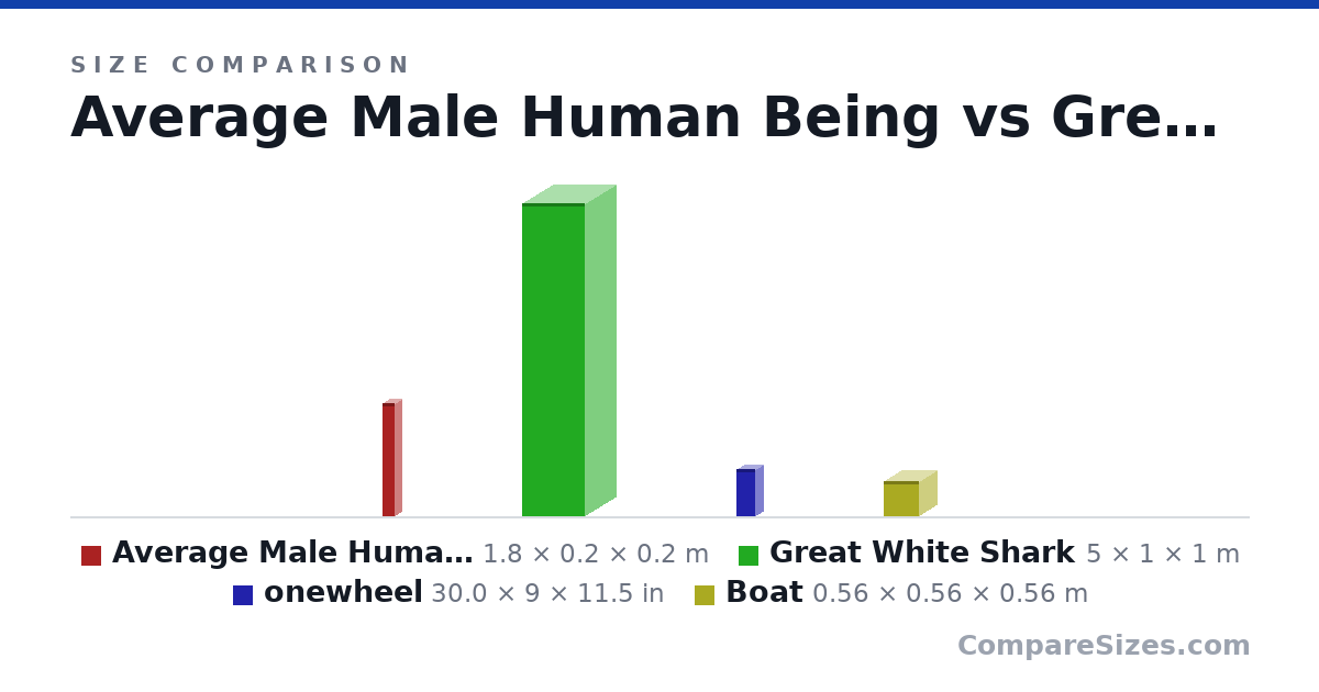 Size comparison of Average Male Human Being (1.8 × 0.2 × 0.2 m), Great White Shark (5 × 1 × 1 m), onewheel (30.0 × 9 × 11.5 in) and Boat (0.56 × 0.56 × 0.56 m), drawn to scale