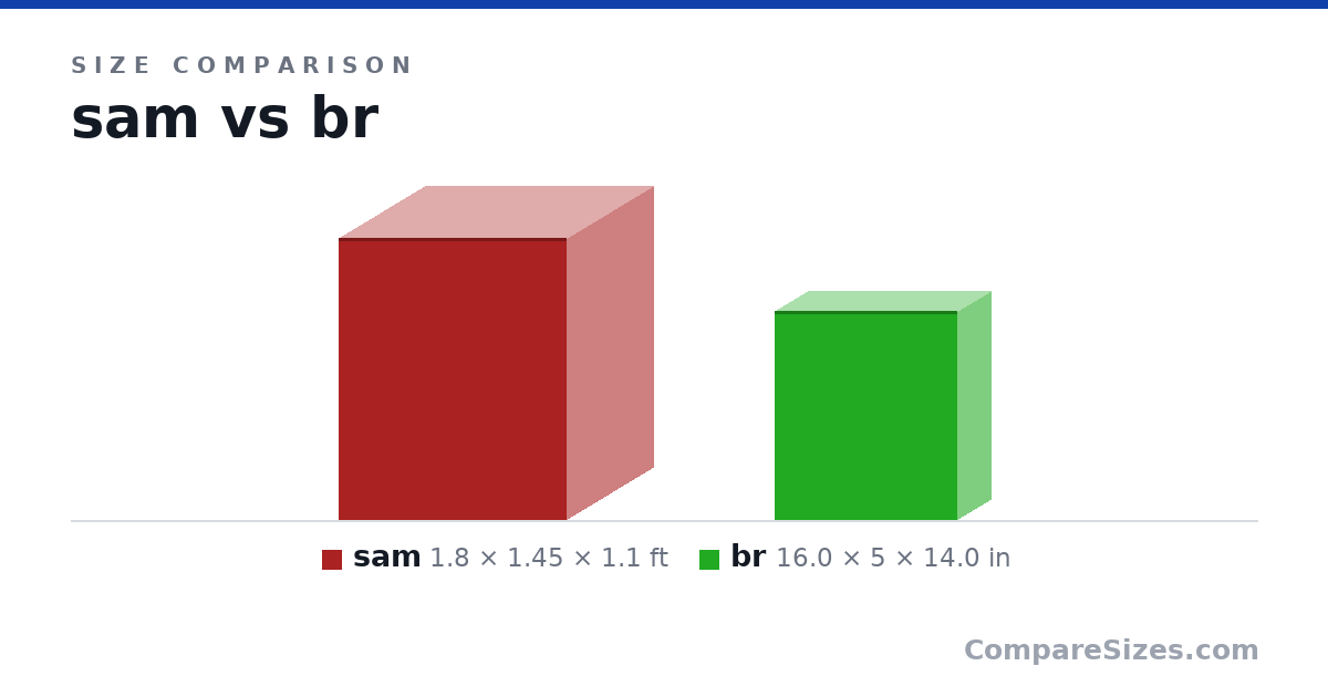 Size comparison of sam (1.8 × 1.45 × 1.1 ft) and br (16.0 × 5 × 14.0 in), drawn to scale