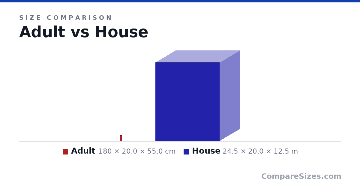 Size comparison of Adult (180 × 20.0 × 55.0 cm) and House (24.5 × 20.0 × 12.5 m), drawn to scale