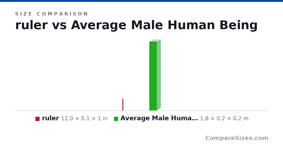 Size comparison of ruler (12.0 × 0.1 × 1 in) and Average Male Human Being (1.8 × 0.2 × 0.2 m), drawn to scale
