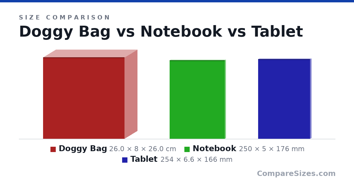 Size comparison of Doggy Bag (26.0 × 8 × 26.0 cm), Notebook (250 × 5 × 176 mm) and Tablet (254 × 6.6 × 166 mm), drawn to scale