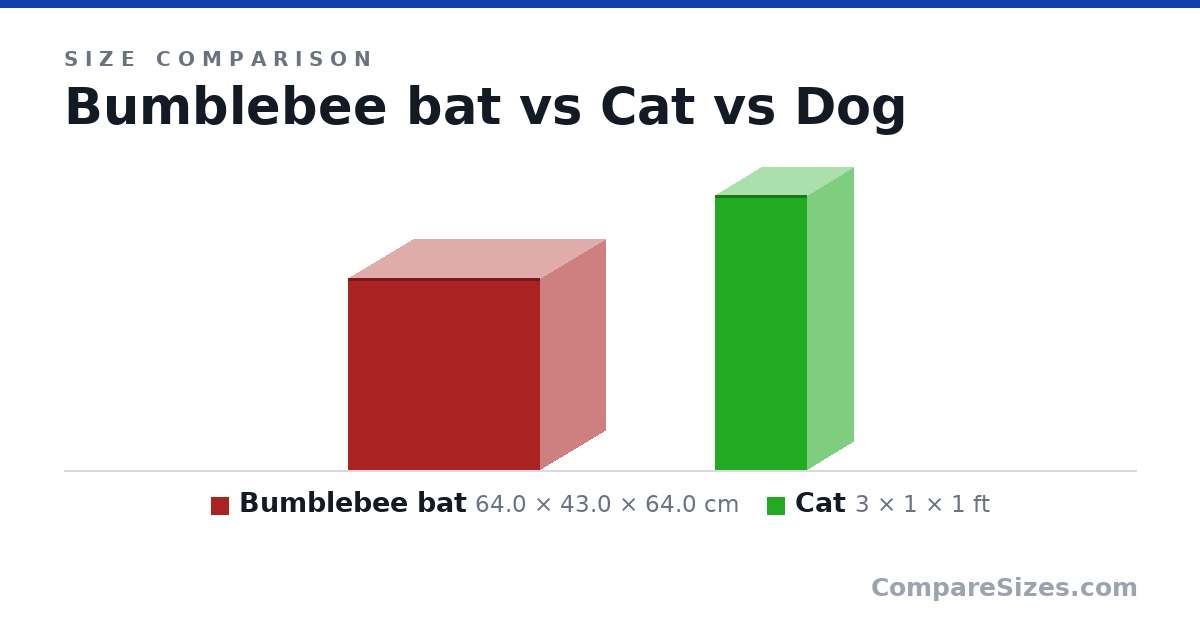 Size comparison of Bumblebee bat (64.0 × 43.0 × 64.0 cm), Cat (3 × 1 × 1 ft) and Dog, drawn to scale