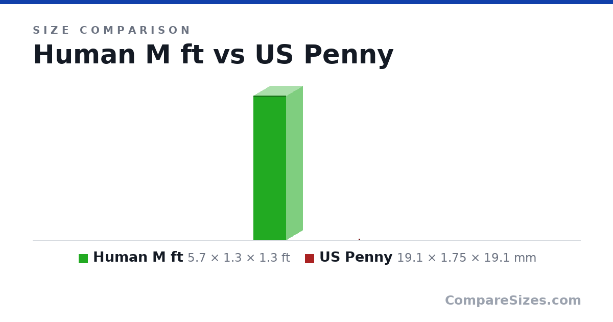 Size comparison of Human M ft (5.7 × 1.3 × 1.3 ft) and US Penny (19.1 × 1.75 × 19.1 mm), drawn to scale