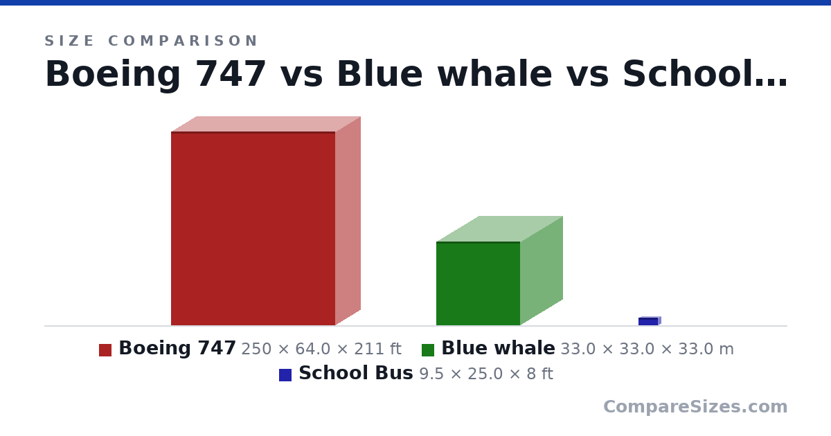 Size comparison of Boeing 747 (250 × 64.0 × 211 ft), Blue whale (33.0 × 33.0 × 33.0 m) and School Bus (9.5 × 25.0 × 8 ft), drawn to scale