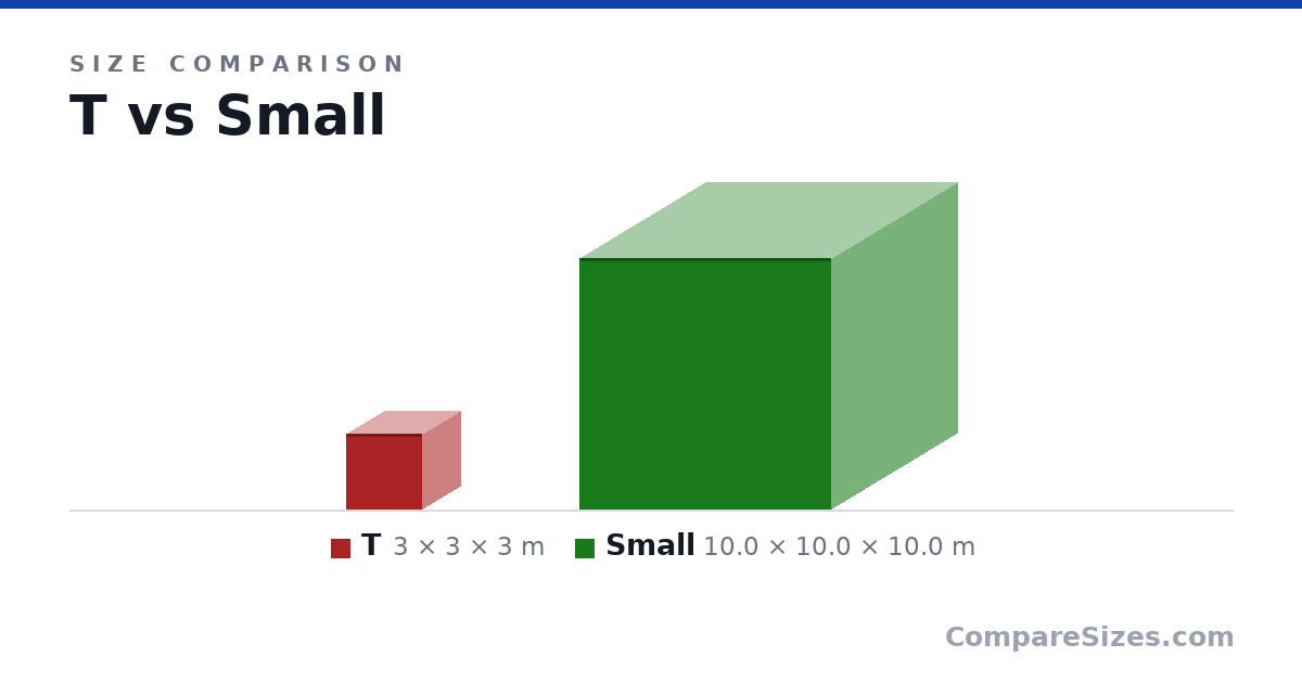 Size comparison of T (3 × 3 × 3 m) and Small (10.0 × 10.0 × 10.0 m), drawn to scale