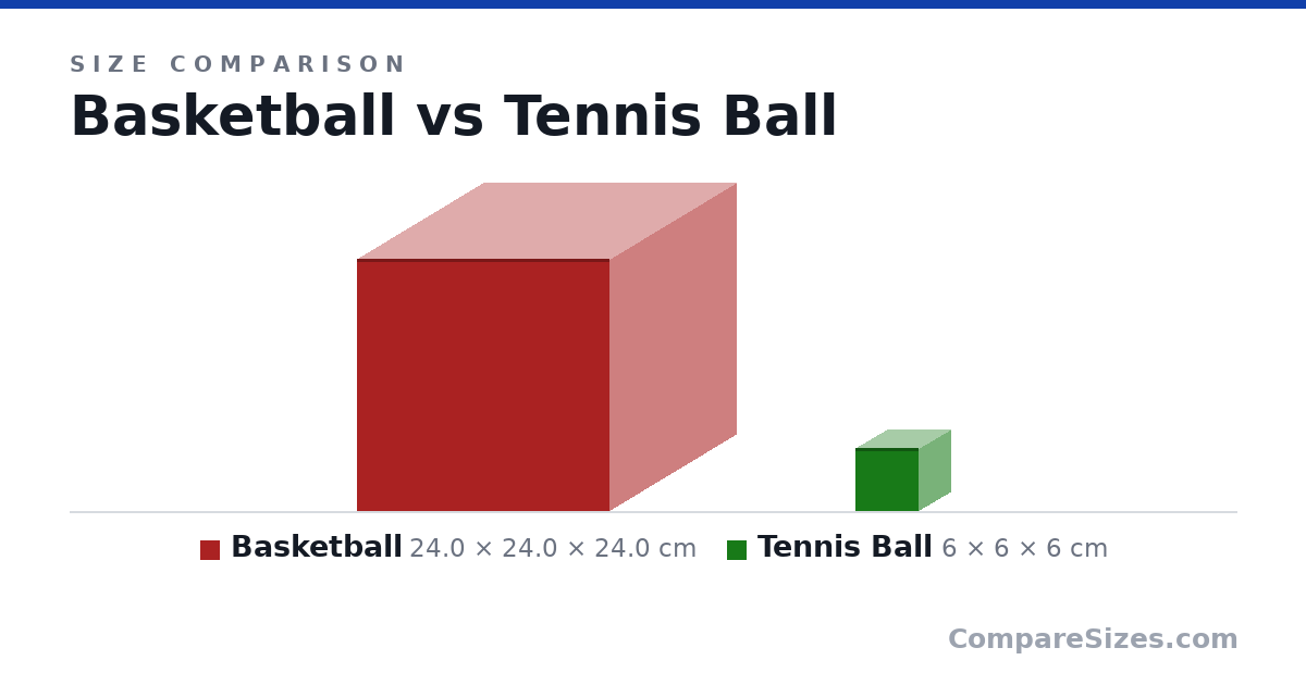 Size comparison of Basketball (24.0 × 24.0 × 24.0 cm) and Tennis Ball (6 × 6 × 6 cm), drawn to scale