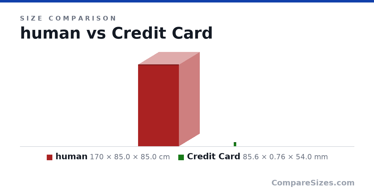 Size comparison of human (170 × 85.0 × 85.0 cm) and Credit Card (85.6 × 0.76 × 54.0 mm), drawn to scale