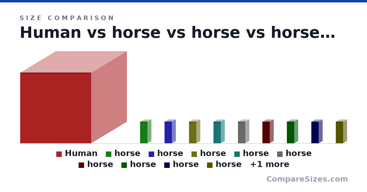 Size comparison of Human (1 × 1 × 1 m), horse (12.0 × 4 × 4 in), horse (12.0 × 4 × 4 in), horse (12.0 × 4 × 4 in), horse (12.0 × 4 × 4 in), horse (12.0 × 4 × 4 in), and 5 more, drawn to scale