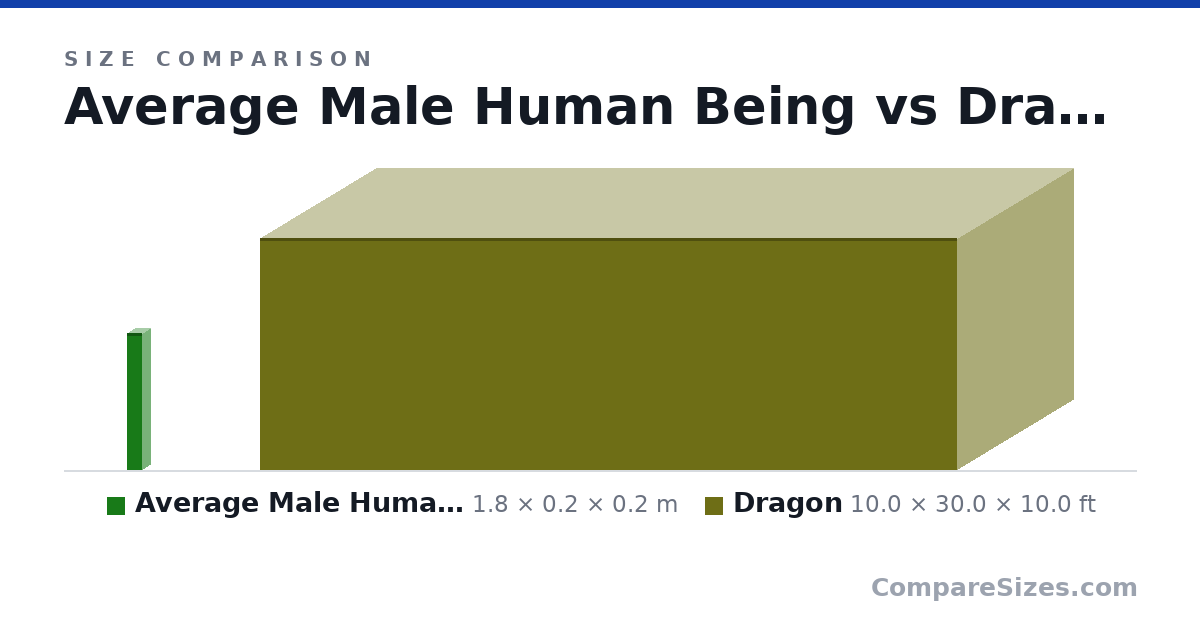 Size comparison of Average Male Human Being (1.8 × 0.2 × 0.2 m) and Dragon (10.0 × 30.0 × 10.0 ft), drawn to scale