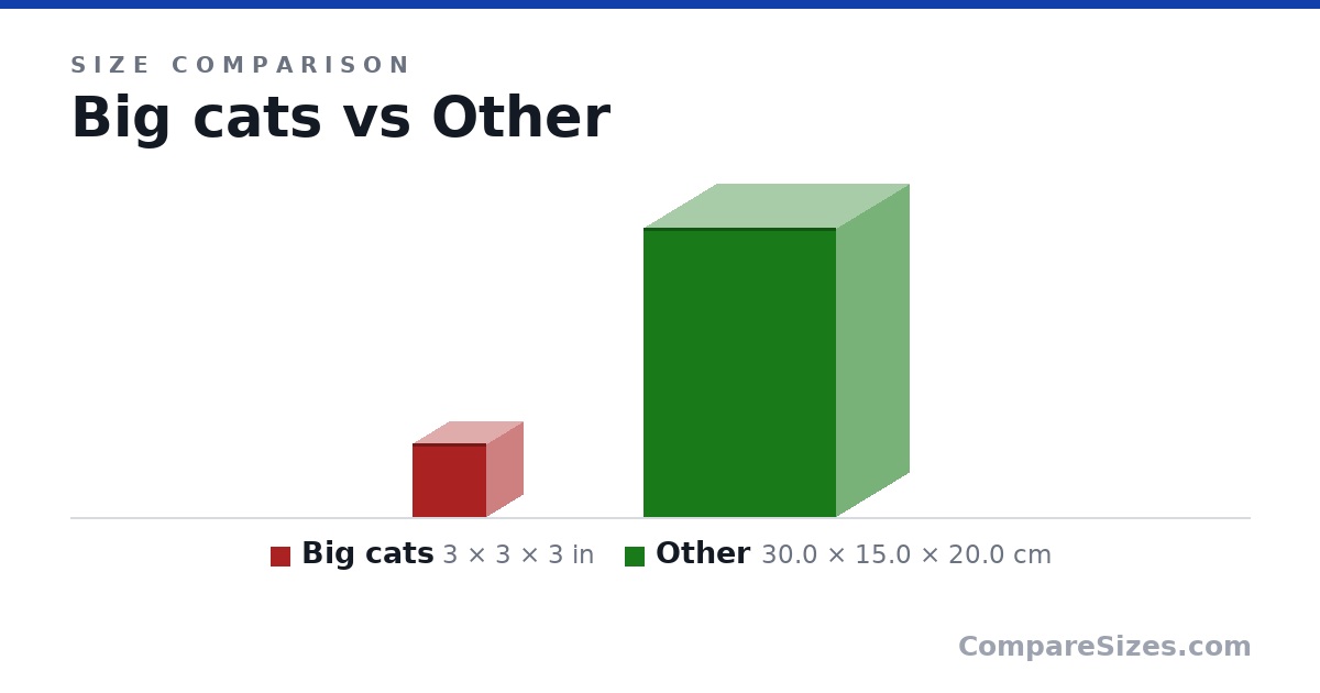 Size comparison of Big cats (3 × 3 × 3 in) and Other (30.0 × 15.0 × 20.0 cm), drawn to scale
