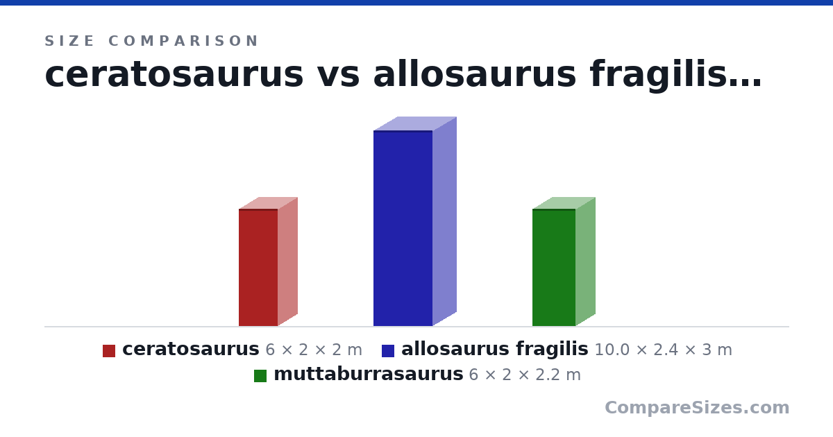 Size comparison of ceratosaurus (6 × 2 × 2 m), allosaurus fragilis (10.0 × 2.4 × 3 m) and muttaburrasaurus (6 × 2 × 2.2 m), drawn to scale