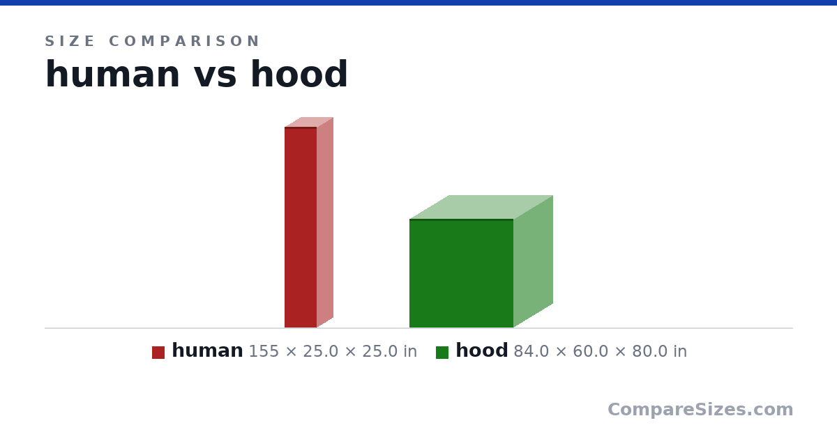 Size comparison of human (155 × 25.0 × 25.0 in) and hood (84.0 × 60.0 × 80.0 in), drawn to scale