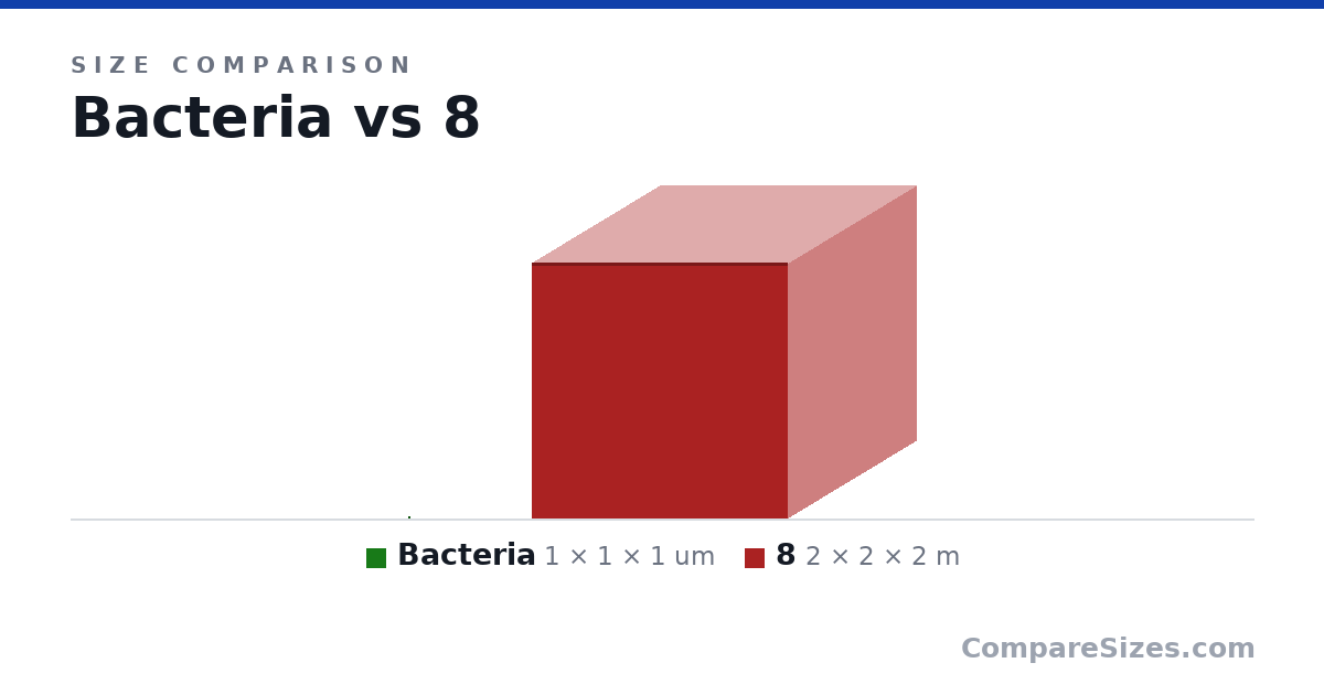 Size comparison of Bacteria (1 × 1 × 1 um) and 8 (2 × 2 × 2 m), drawn to scale