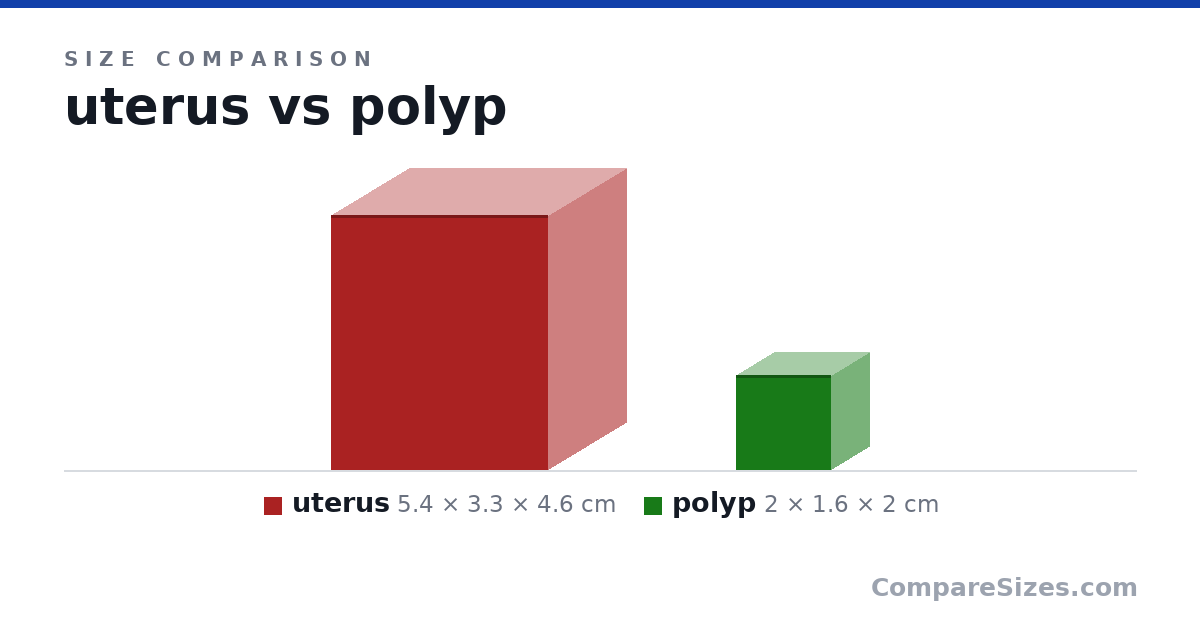 Size comparison of uterus (5.4 × 3.3 × 4.6 cm) and polyp (2 × 1.6 × 2 cm), drawn to scale