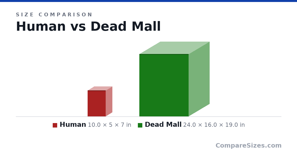 Size comparison of Human (10.0 × 5 × 7 in) and Dead Mall (24.0 × 16.0 × 19.0 in), drawn to scale