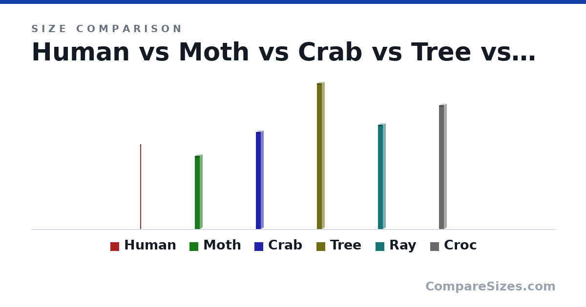 Size comparison of Human (175 × 1 × 1 cm), Moth (1.5 × 0.1 × 0.1 m), Crab (2 × 0.1 × 0.1 m), Tree (3 × 0.1 × 0.1 m), Ray (2.15 × 0.1 × 0.1 m) and Croc (2.55 × 0.1 × 0.1 m), drawn to scale