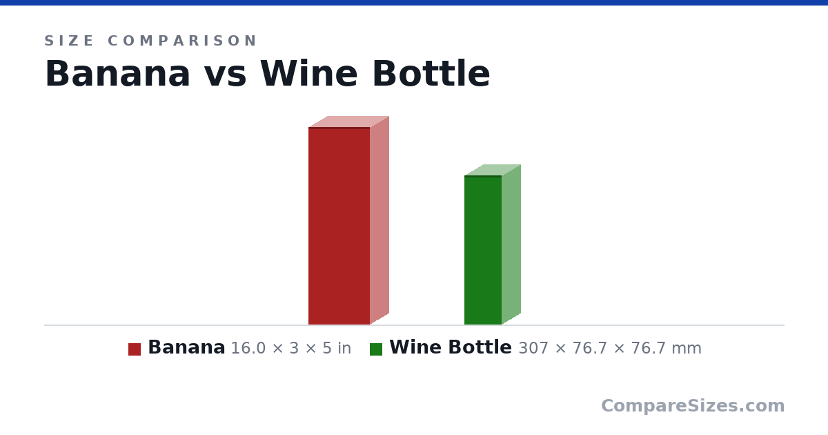 Size comparison of Banana (16.0 × 3 × 5 in) and Wine Bottle (307 × 76.7 × 76.7 mm), drawn to scale