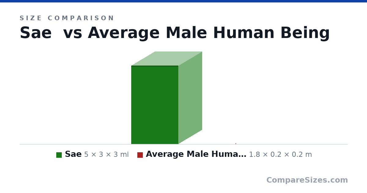 Size comparison of Sae (5 × 3 × 3 mi) and Average Male Human Being (1.8 × 0.2 × 0.2 m), drawn to scale