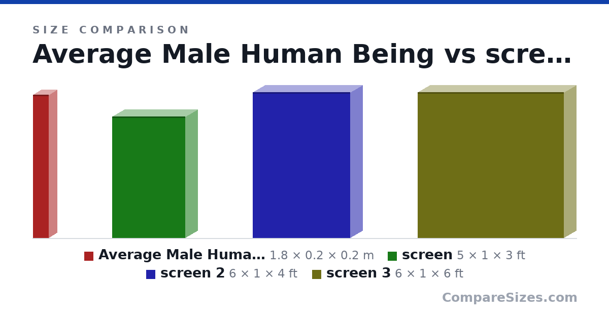 Size comparison of Average Male Human Being (1.8 × 0.2 × 0.2 m), screen (5 × 1 × 3 ft), screen 2 (6 × 1 × 4 ft) and screen 3 (6 × 1 × 6 ft), drawn to scale