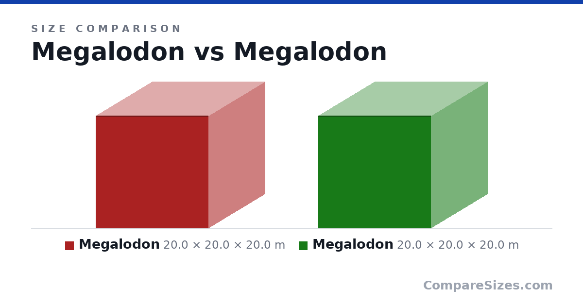 Size comparison of Megalodon (20.0 × 20.0 × 20.0 m) and Megalodon (20.0 × 20.0 × 20.0 m), drawn to scale