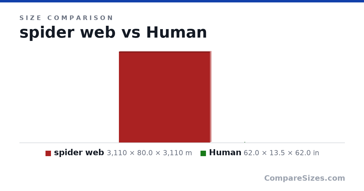 Size comparison of spider web (3,110 × 80.0 × 3,110 m) and Human (62.0 × 13.5 × 62.0 in), drawn to scale