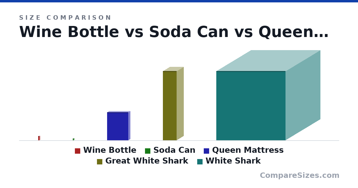 Size comparison of Wine Bottle (307 × 76.7 × 76.7 mm), Soda Can (123 × 66.0 × 66.0 mm), Queen Mattress (2,032 × 254 × 1,524 mm), Great White Shark (5 × 1 × 1 m) and White Shark (5 × 5 × 5 m), drawn to scale