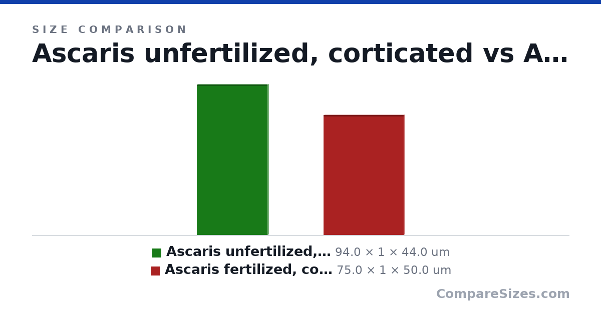 Size comparison of Ascaris unfertilized, corticated (94.0 × 1 × 44.0 um) and Ascaris fertilized, corticated (75.0 × 1 × 50.0 um), drawn to scale