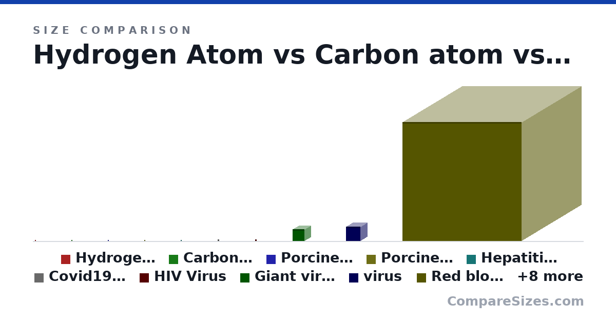 Size comparison of Hydrogen Atom (0.05 × 0.05 × 0.05 nm), Carbon atom (0.12 × 0.12 × 0.12 nm), Porcine circovirus (14.0 × 14.0 × 14.0 nm), Porcine circovirus aka smallest virus (17.0 × 17.0 × 17.0 nm), Hepatitis Virus (45.0 × 45.0 × 45.0 nm), Covid19 virus (90.0 × 90.0 × 90.0 nm), and 12 more, drawn to scale
