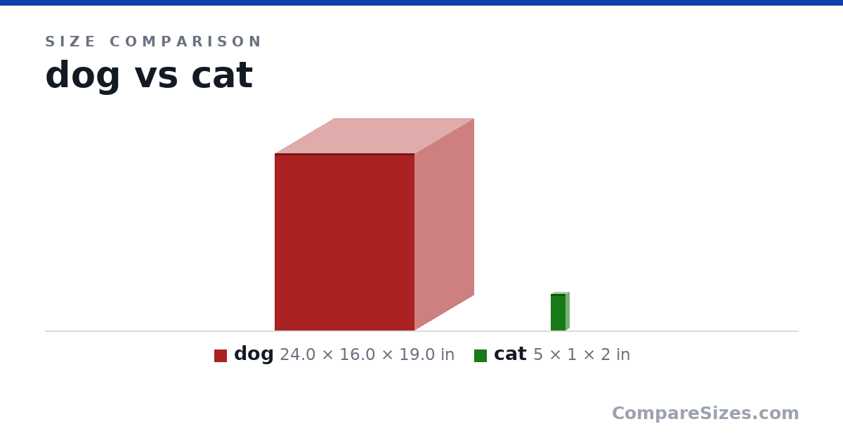 Size comparison of dog (24.0 × 16.0 × 19.0 in) and cat (5 × 1 × 2 in), drawn to scale