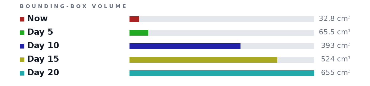 Bounding-box volumes as bars: Now 32.8 cm³, Day 5 65.5 cm³, Day 10 393 cm³, Day 15 524 cm³, Day 20 655 cm³