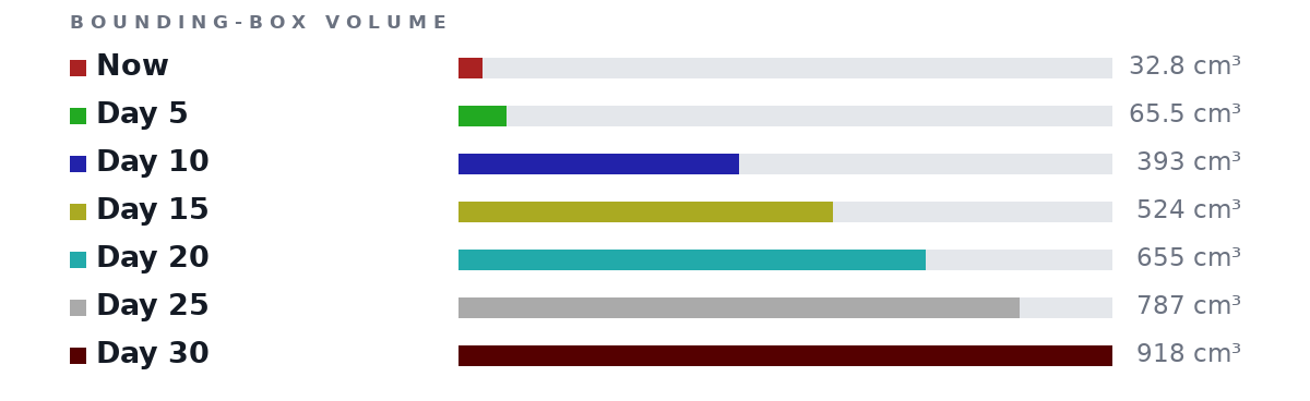 Bounding-box volumes as bars: Now 32.8 cm³, Day 5 65.5 cm³, Day 10 393 cm³, Day 15 524 cm³, Day 20 655 cm³, Day 25 787 cm³, Day 30 918 cm³