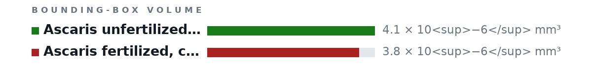 Bounding-box volumes as bars: Ascaris unfertilized, corticated 4.1 × 10<sup>−6</sup> mm³, Ascaris fertilized, corticated 3.8 × 10<sup>−6</sup> mm³